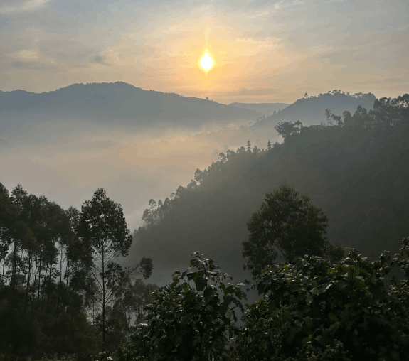 Landscape of Uganda 